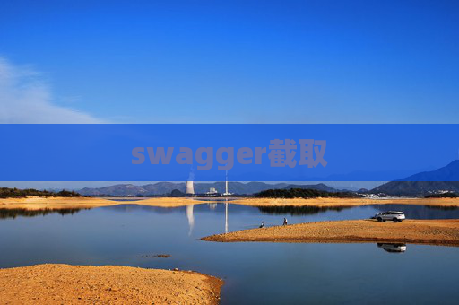 swagger截取